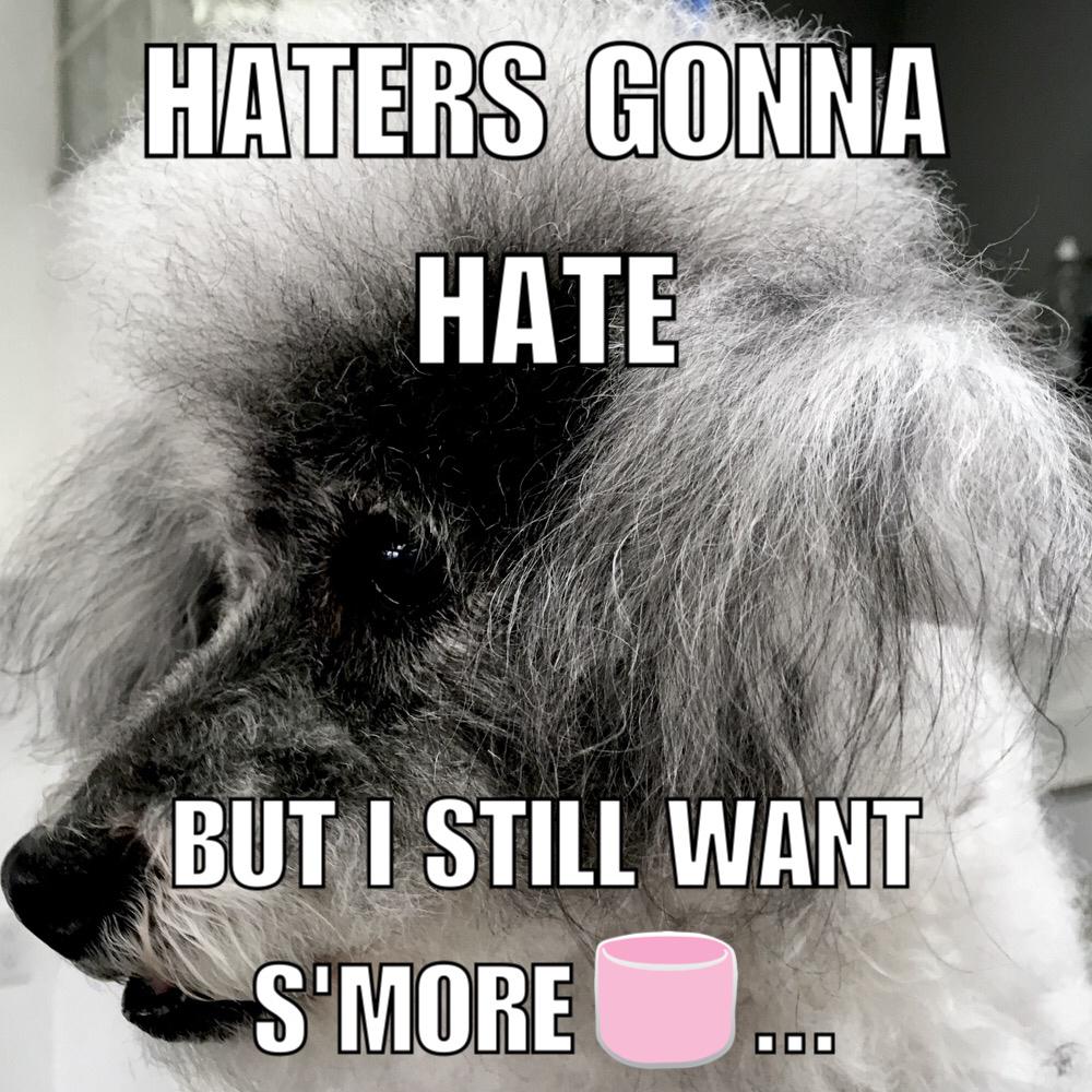 Sell* MarshMello in Your Salon!  WHOLESALE.