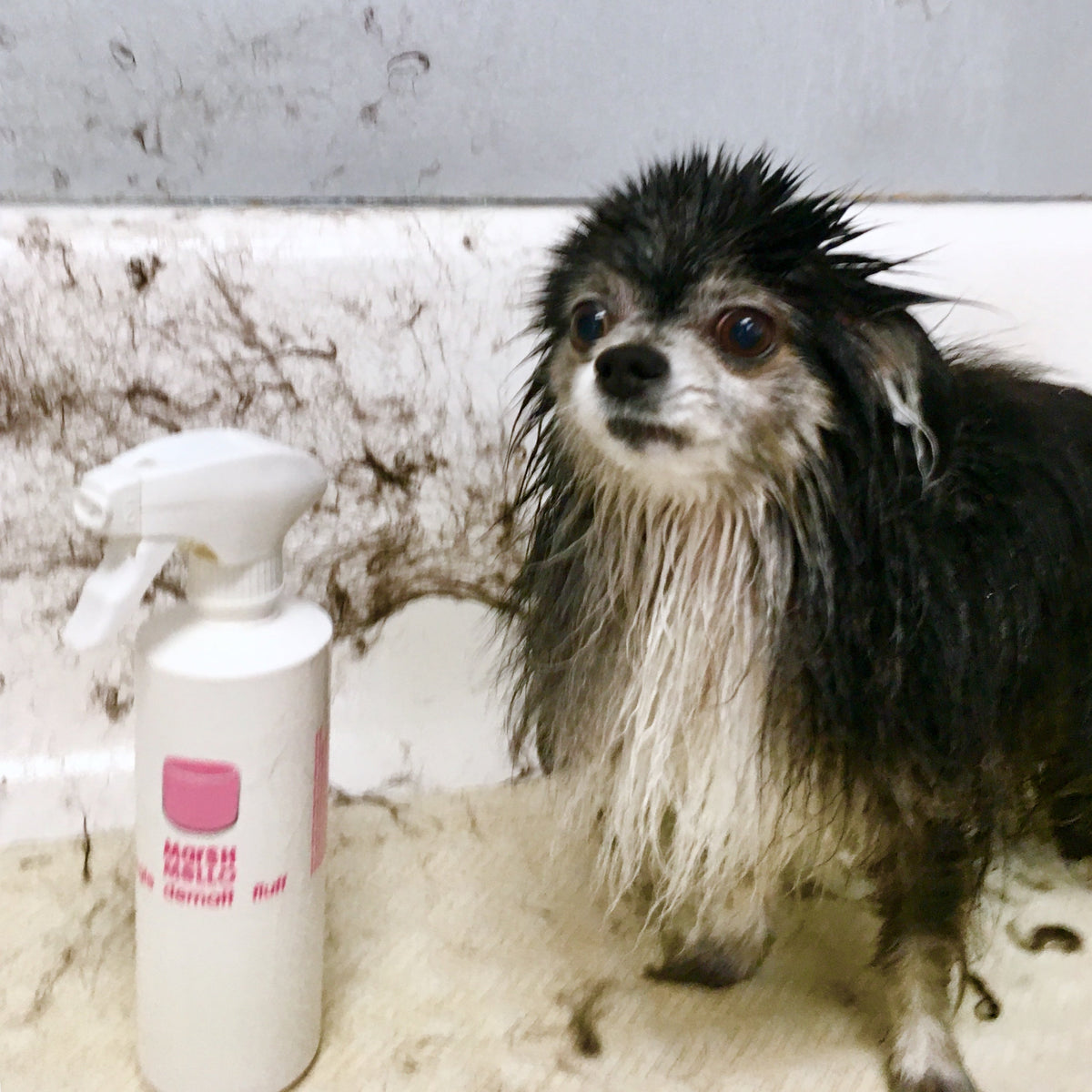 MarshMello Dematt detangling spray plant-based!