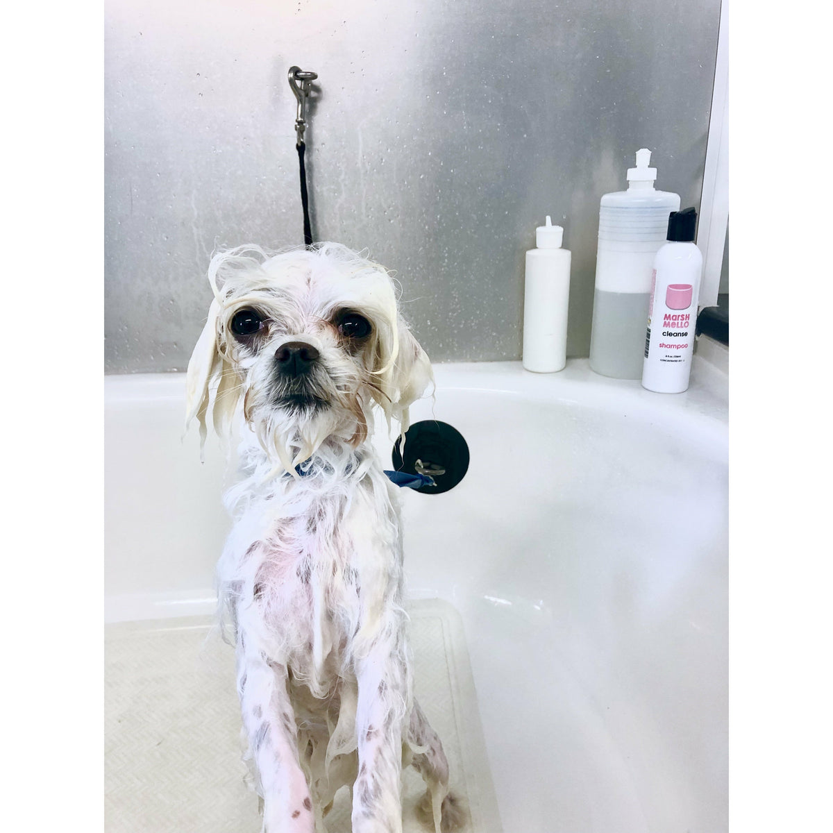 natural detangling spray, marshmello detangling spray, plant-based, silicone free, silicone-free, no silicones dematter detangler.  Conditioning detangling solution for dogs-natural plant extracts.